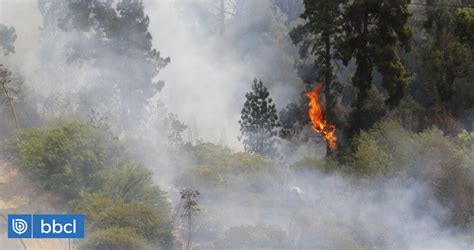 Declaran Alerta Roja Para Comuna De San Pedro Por Incendio Forestal