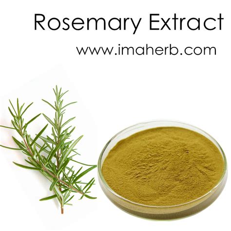 Rosemary Extract Rosemary Leaf Extract Rosmarinic Acid Ursolic Acid Carnosic Acid