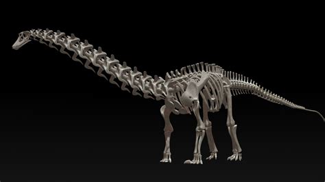 Artstation Diplodocus Skeleton