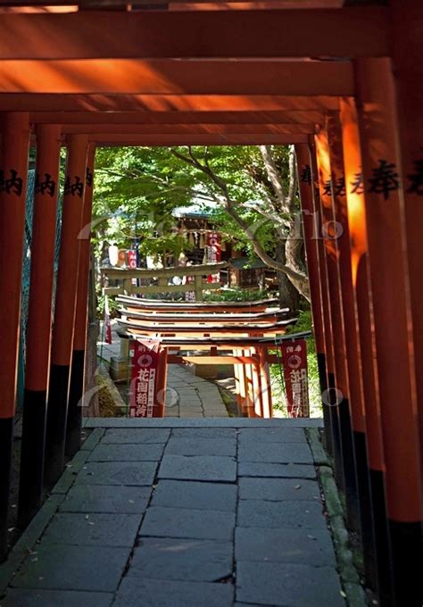 東京都 上野公園 花園稲荷神社 21188834 の写真素材 アフロ