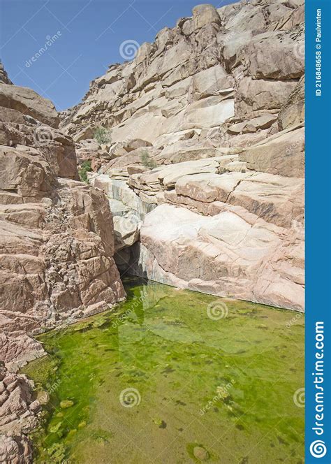 Freshwater Pool In A Mountain Canyon Stock Photo Image Of Natural