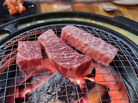 정선 하이원 리조트 근처 가성비 소고기 맛집 함백산실비식육 네이버 블로그