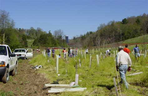 Earth Day Planting - Earth Environmental and Civil