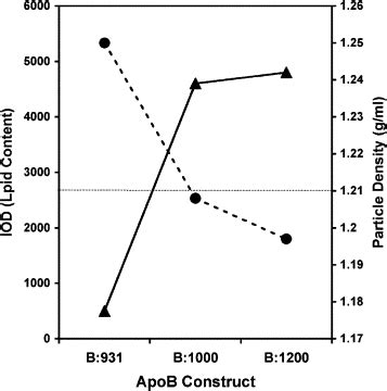 Assembly Of Lipoprotein Particles Containing Apolipoprotein B