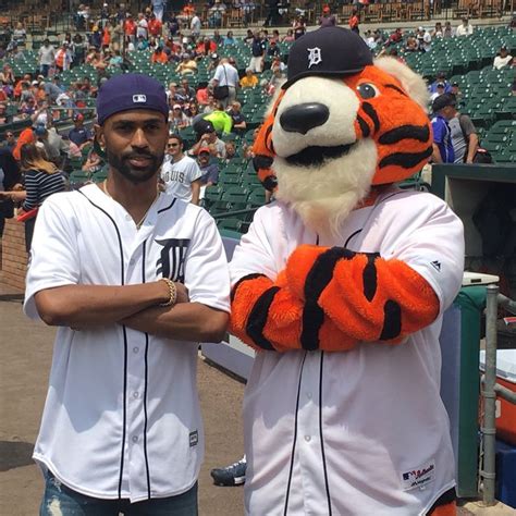 Detroit Tigers on Twitter | Detroit tigers, Paw, National cat day