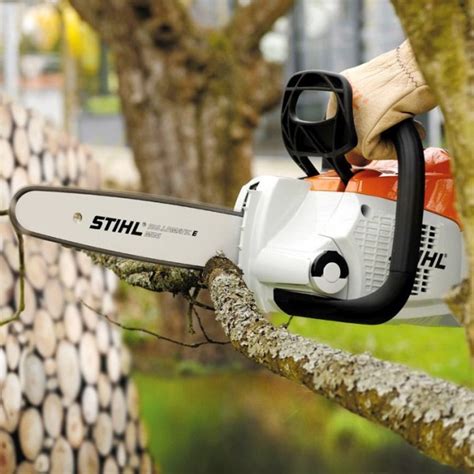 Stihl Akku Kettens Ge Msa C B Mit Akku Ap Ladeger T Al