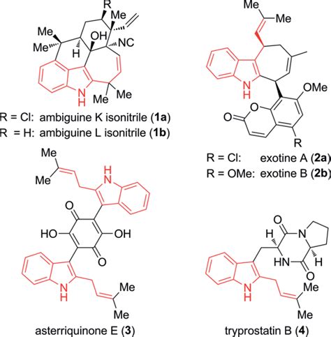 Selected naturally occurring indole alkaloids bearing an allyl moiety ...