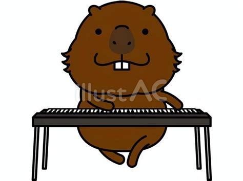 Free Vectors | Capybara-san keyboard