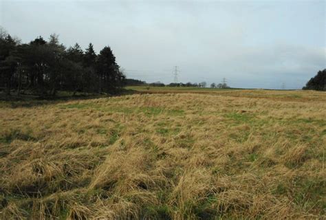 Rough Grassland Richard Sutcliffe Geograph Britain And Ireland