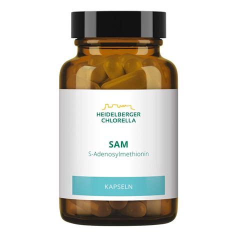 Sam S Adenosylmethionin Kapseln 60 Stk Online Günstig Kaufen