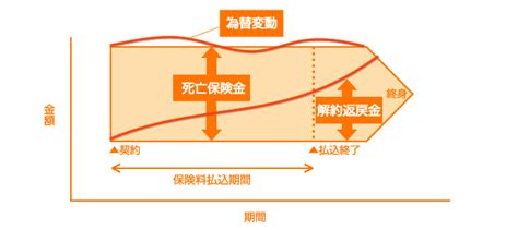 保険の比較 ドル建て終身保険 生命保険の選び方