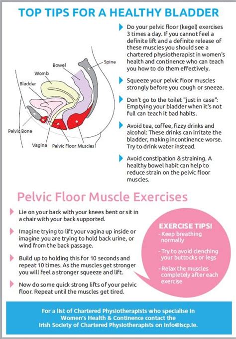 Top Tips For A Healthy Bladder Pelvichealthphysio