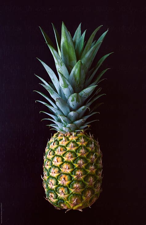 Pineapple On Black Background by Sonja Lekovic