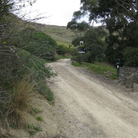 bridle path discover  delights  peeling  history