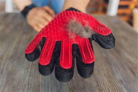 Hombre Acicalando Gato Con Guantes Especiales Cuidado De Mascotas