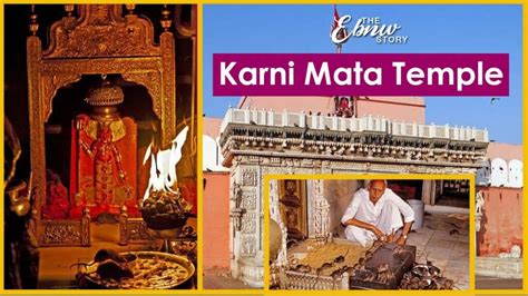 Karni Mata Mandir Rat Temple In Deshnok Rajasthan History Facts