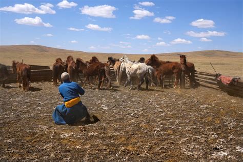 What pastoralists in Senegal and Mongolia can teach us about adapting ...