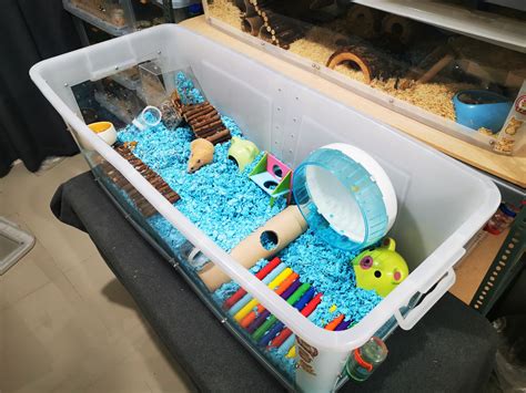 Hamster Diy Cage Hamster Stuff Plastic Bins Plastic Laundry Basket