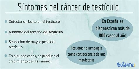 Dolor De Testiculos Causas Seasonmedia