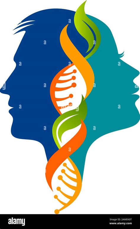 Perfil Masculino De Adn Im Genes Recortadas De Stock Alamy