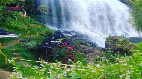 Manjakan Mata Dengan 8 Wisata Alam Curug Di Cianjur Ini Salah Satunya