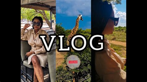 VLOG : GAME DRIVE AND LOOK OUT. DIKHOLOLO RESORT. Vlog Episode 2 - YouTube