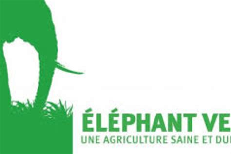 Éléphant vert sempare de Lipofabrik