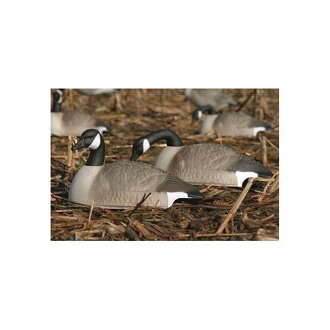 Flambeau Stormfront 24" Canada Goose Shell Decoys, 12 Pack - 676505