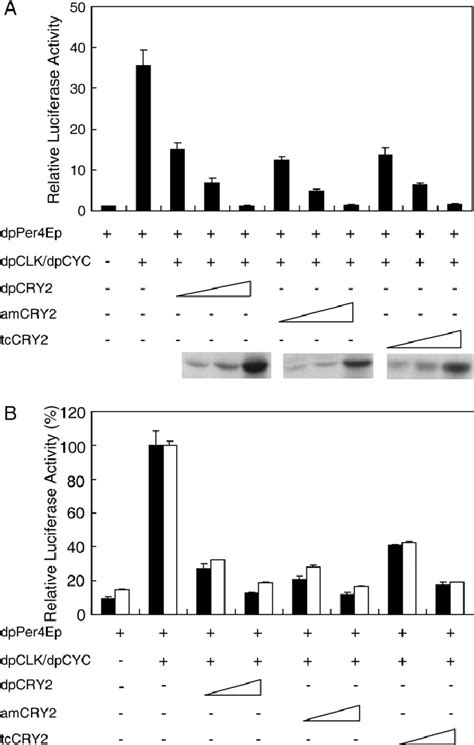 Dose Dependent Transcriptional Responses A Dosedependent