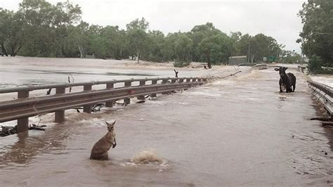 Fitzroy Valley floods highlighted housing issues. One year on ...