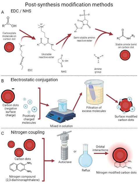 Post Synthesis Surface Modification A EDC NHS Reactions Are Used To