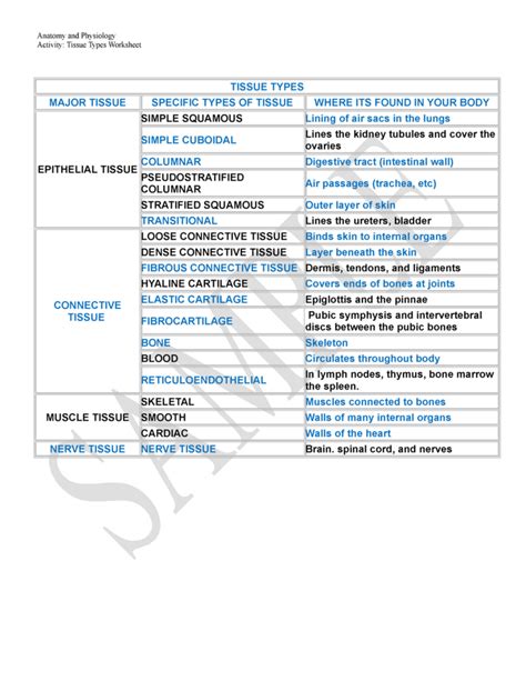 Anatomy And Physiology Connective Tissue Worksheets Answers Printable Worksheets