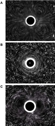 Full Article Microbubble Mediated Ultrasound Therapy A Review Of Its