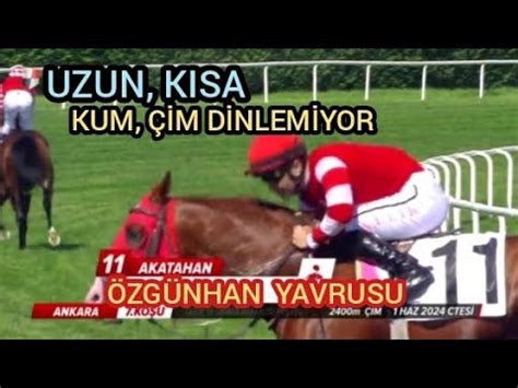 TARIM VE ORMAN BAKANLIĞI KOŞUSU 1 6 2024 ANKARA YouTube