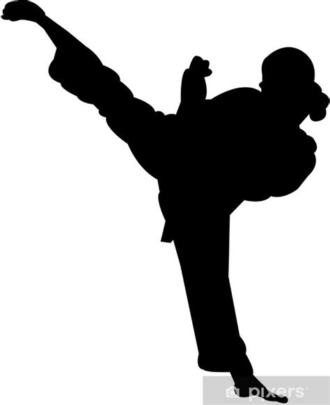 Wall Mural martial arts silhouette - PIXERS.US