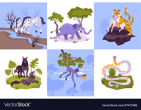 Rainforest animals design concept Royalty Free Vector Image