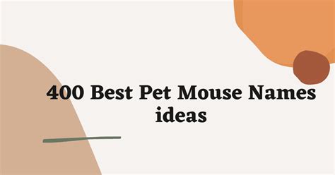 Best Pet Mouse Names For Your Pet