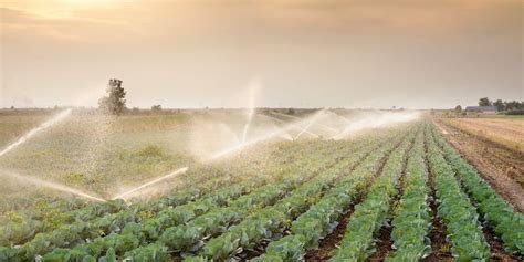 Sustainable Irrigation For Food Security Fluence