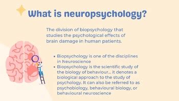 The Brain Biopsychology Parts Sections And Their Functions TPT