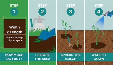 How To Mulch Learn The Best Types Of Mulch And How To Apply It