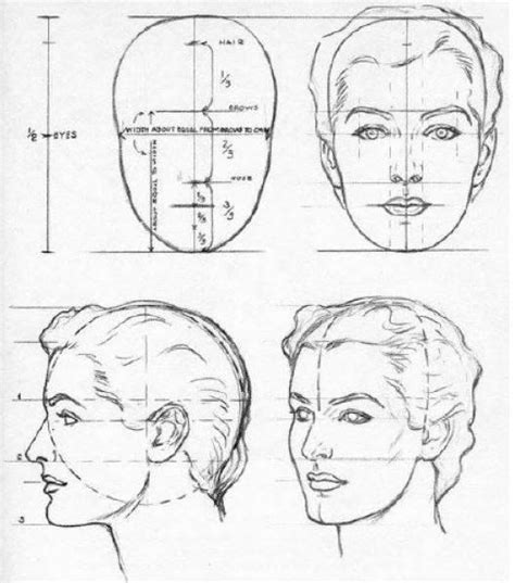Guía Única Cómo Aprender A Dibujar Rostros Humanos Paso A Paso