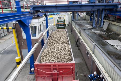 Suiker Unie Verwacht Ton Bieten Per Hectare Boerderij