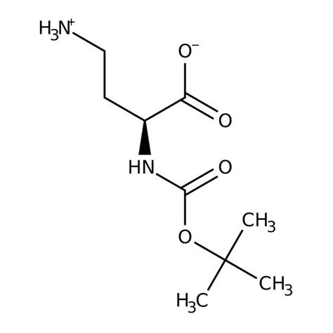 S 4 Amino 2 Boc Amino Butyric Acid 97 Thermo Scientific Chemicals