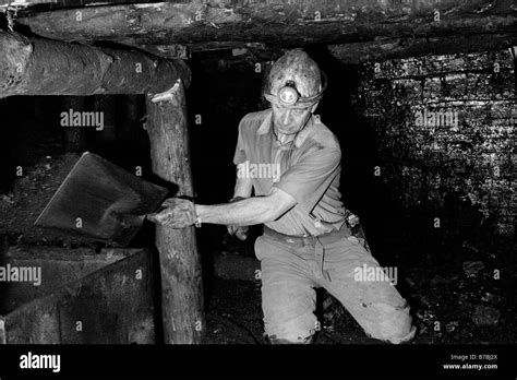 Miner Shoveling Coal Into Tram Underground At Blaencuffin Coal Mine On