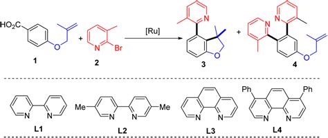 Ruthenium Catalysed Decarboxylative Unsymmetric Dual Ortho Meta Ch