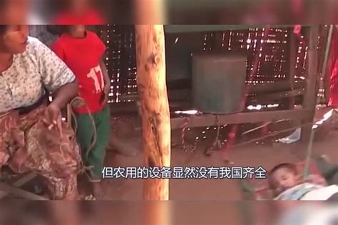 中国人去缅甸，实拍缅甸农村女人的真实生活，非常能干活！ 缅甸 生活 农村