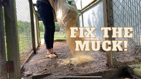 How We Fix A Muddy Chicken Run Youtube