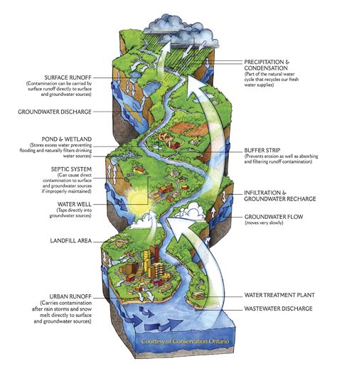 Understanding Your Watershed