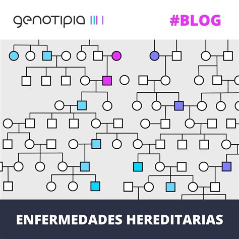 Enfermedades Hereditarias Qu Son C Mo Se Clasifican Genotipia