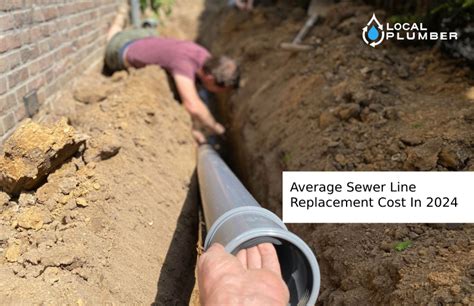 Average Sewer Line Replacement Cost In Local Plumber